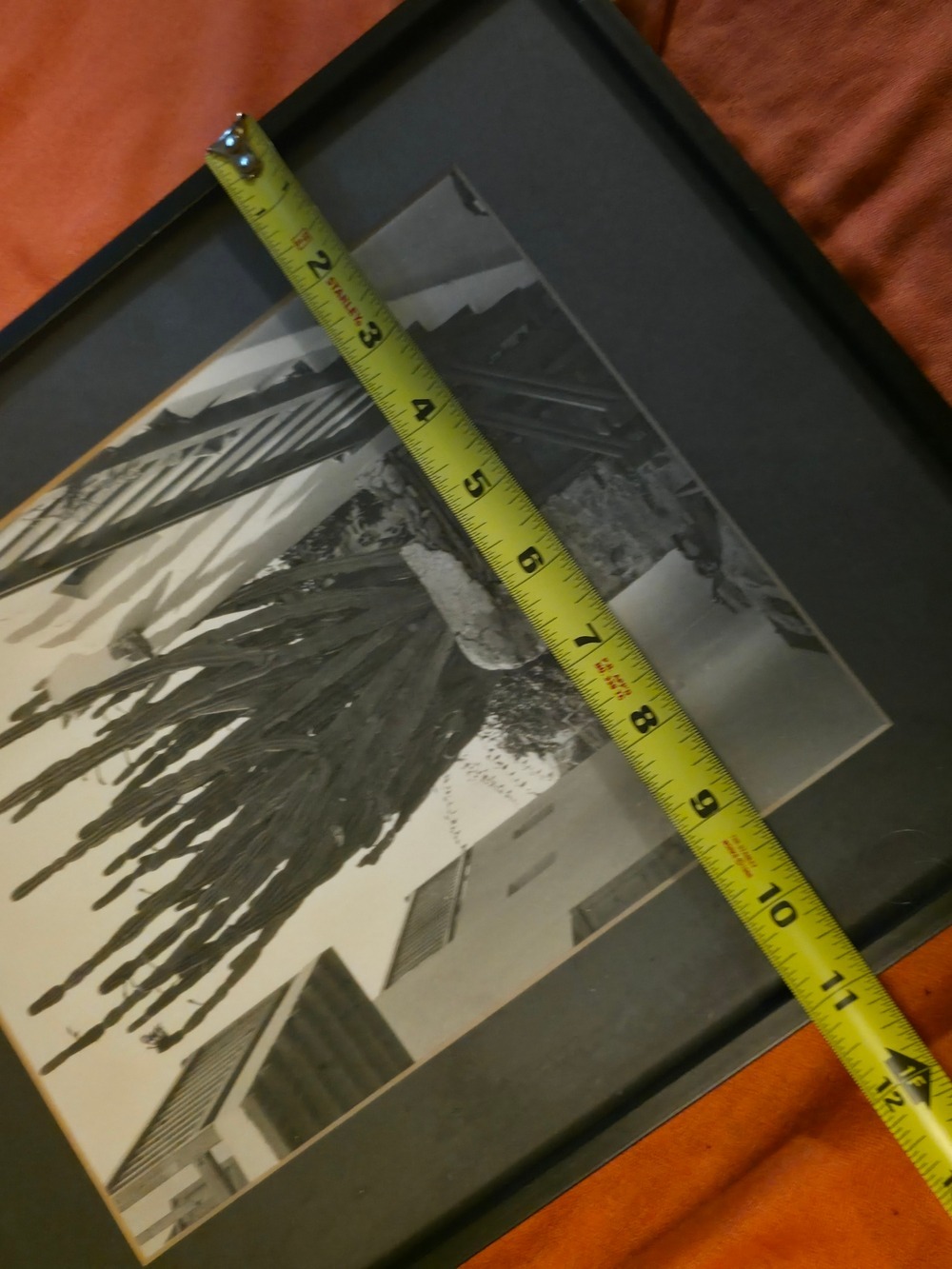 4/$25 Deal! Vintage Black and Cream Cactus Photography Print In Black Frame - Picture 5 of 6